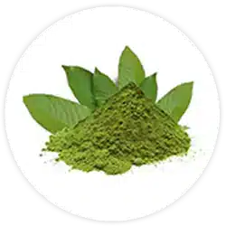 banaba-leaf-extract-ingredient